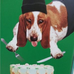 Meet your Posher, Kristin